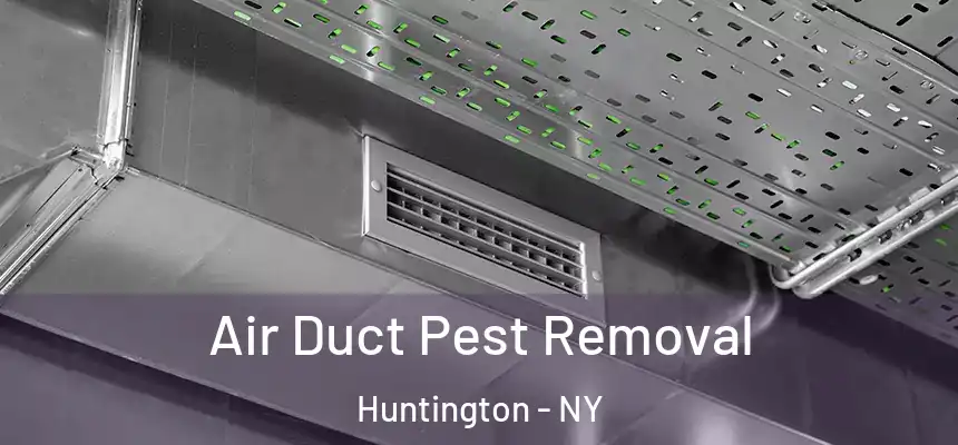 Air Duct Pest Removal Huntington - NY