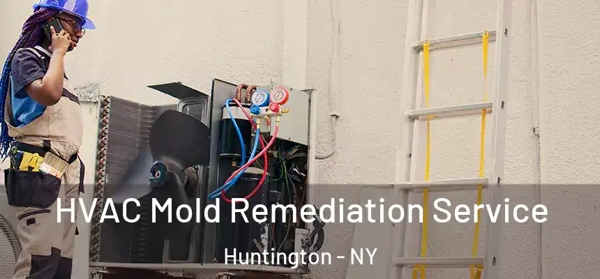 HVAC Mold Remediation Service Huntington - NY