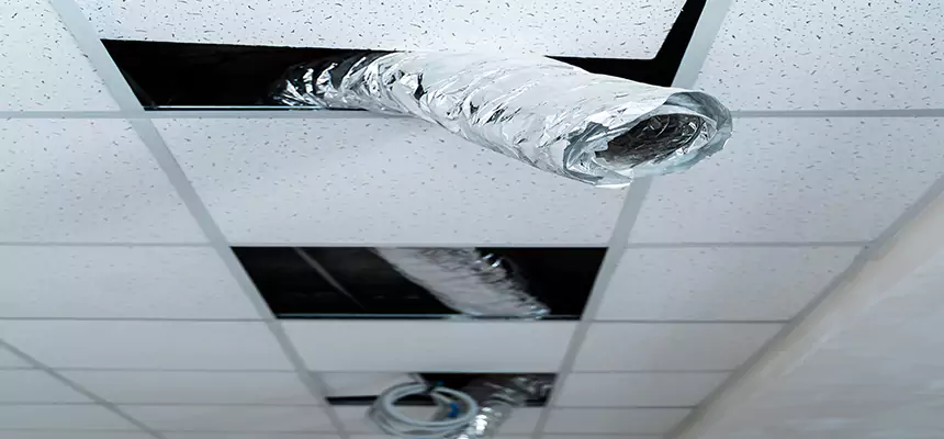 Our Air Duct Pet Hair Removal Services in Huntington, NY