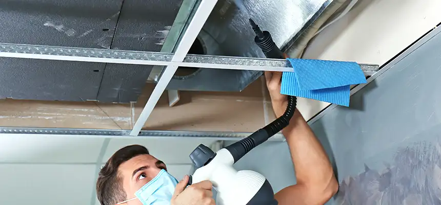 Our Air Duct Rodent Removal Services in Huntington, NY