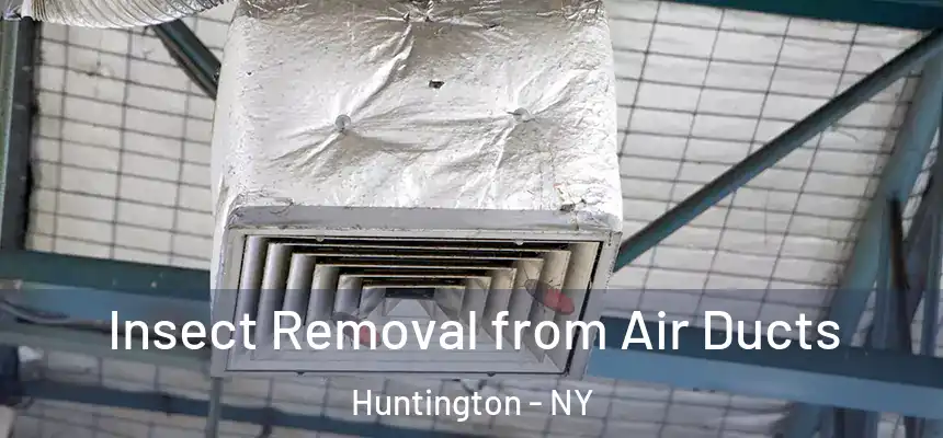 Insect Removal from Air Ducts Huntington - NY