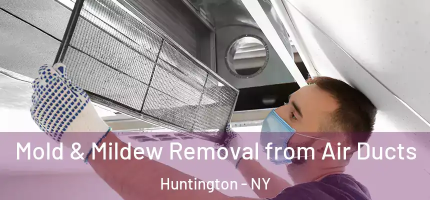Mold & Mildew Removal from Air Ducts Huntington - NY