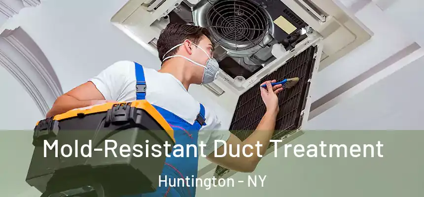 Mold-Resistant Duct Treatment Huntington - NY