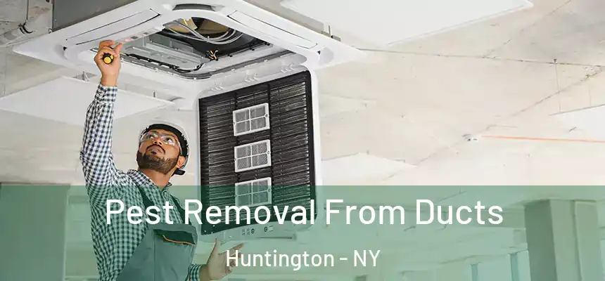  Pest Removal From Ducts Huntington - NY