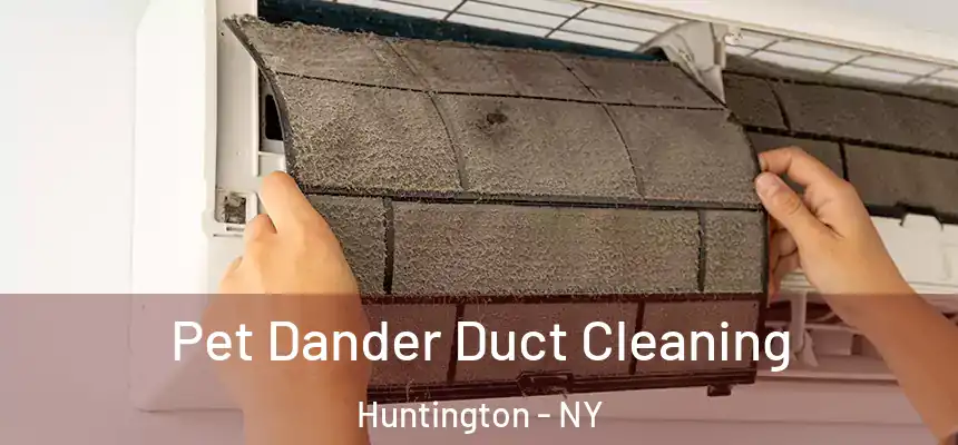  Pet Dander Duct Cleaning Huntington - NY