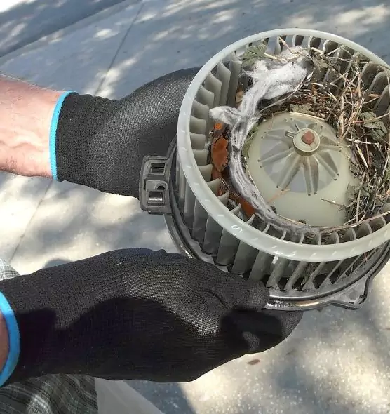 About Air Duct Mice Removal in Huntington, NY