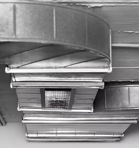 Professional Air Duct Pest Removal in Huntington, NY