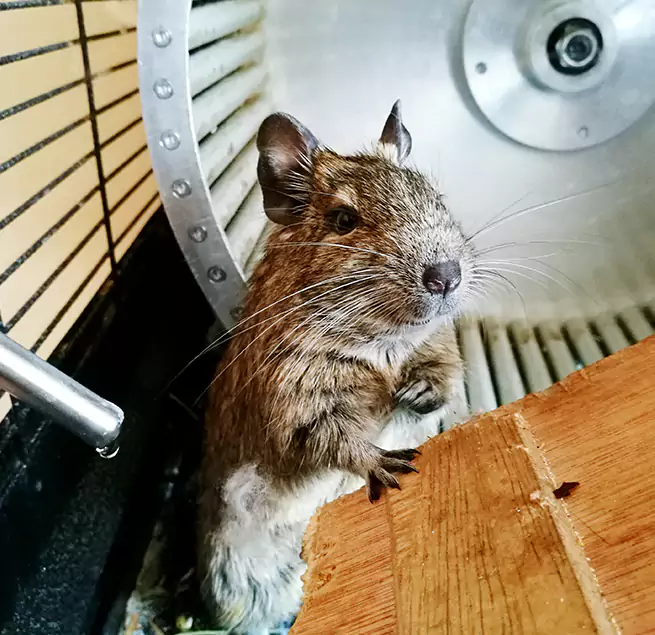 Why Homeowners & Businesses Trust Us Huntington, NY